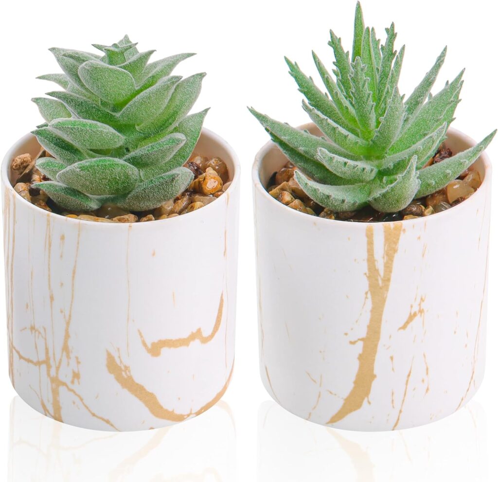2 plantes de bureau